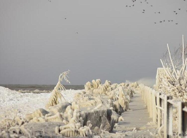 Frio extremo nos Estados Unidos faz pelo menos 91 mortos