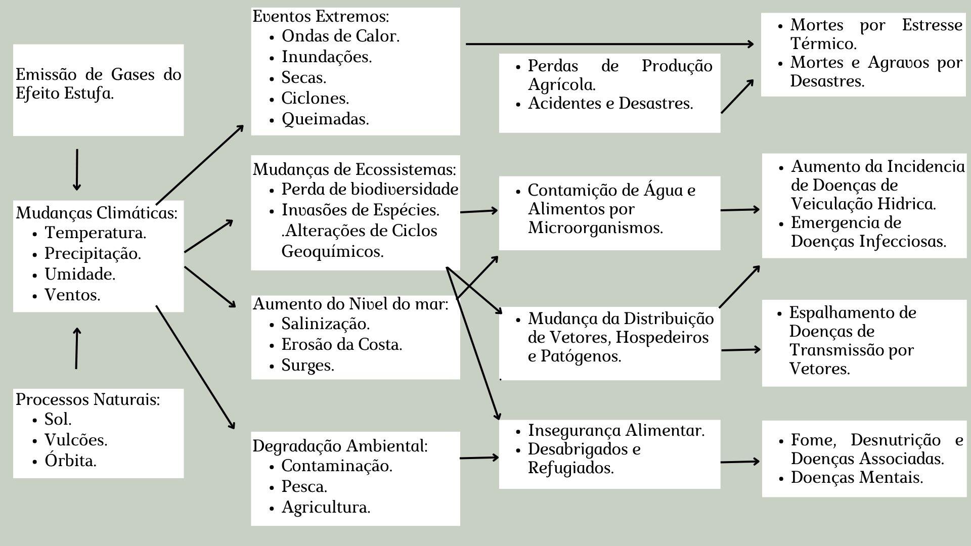 FIGURA 1