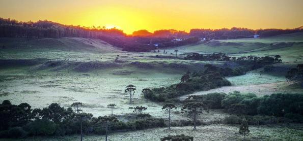 Primeira geada de 2023 em pleno janeiro na Serra Catarinense