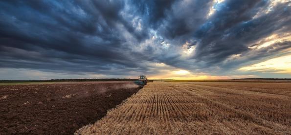 Previsão agro: semana começa com calor e muita chuva no Sudeste