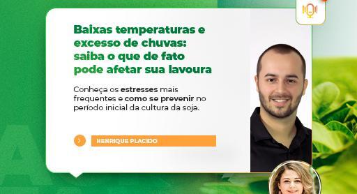 Chuvas em excesso e baixa temperatura na lavoura 