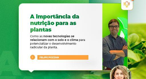Tecnologia, solo e clima ajudam no desenvolvimento radicular 