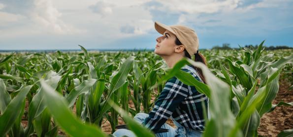 Análise climática para Londrina: o que esperar para 2023?