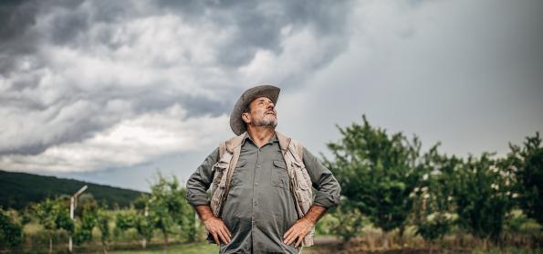 Atividades no campo podem paralisar devido à chuva forte