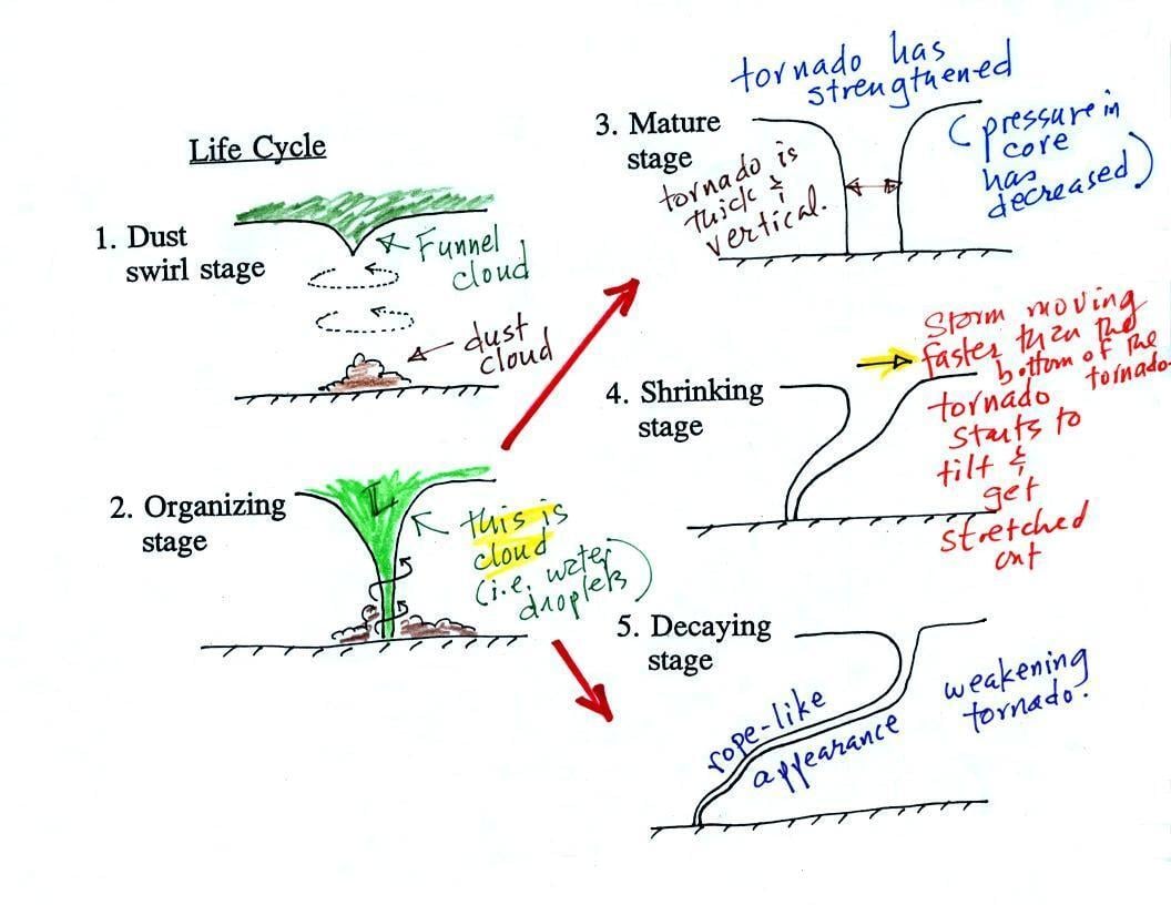 life_cycle