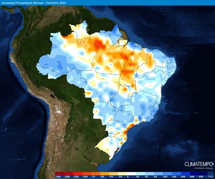 Clima chuvoso prejudicou safra de café no Paraná; plantio de soja