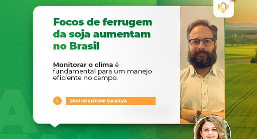 Focos de ferrugem da soja aumentam no Brasil
