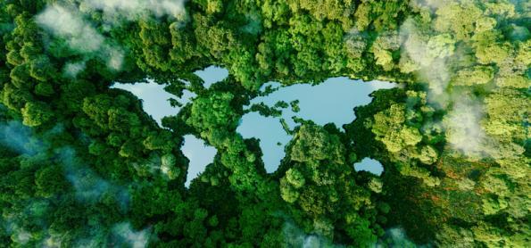 Mudanças Climáticas: a transição energética como uma aliada!