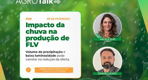 AgroTalk: Impacto da chuva na produção de FLV