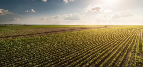 La Niña fraco pode ter um papel importante na safra 24/25