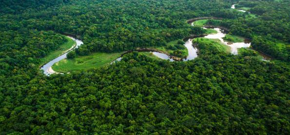 Você sabia que a poeira do Saara fertiliza a Amazônia?
