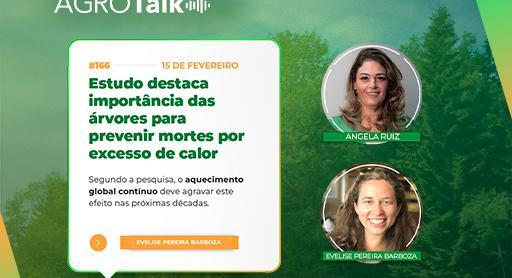 Estudo destaca importância das árvores para prevenir mortes