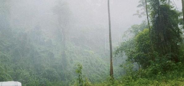 Muita chuva e temporais ao longo deste sábado