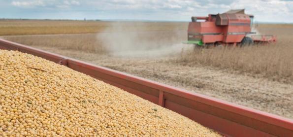 Colheita da soja alcança 4% no Rio Grande do Sul 