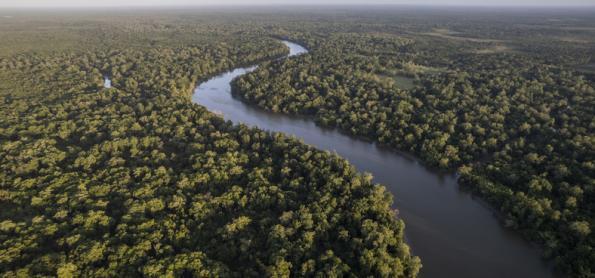 Amazônia Brasileira: Um Panorama para as próximas décadas