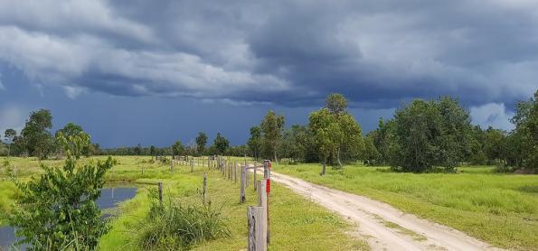 Chuva ganha força no Pará, Tocantins e Mato Grosso