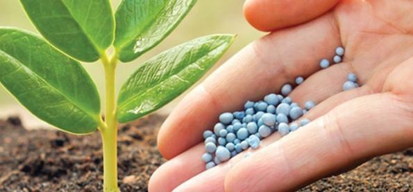 Mercado de fertilizantes registra queda nos preços