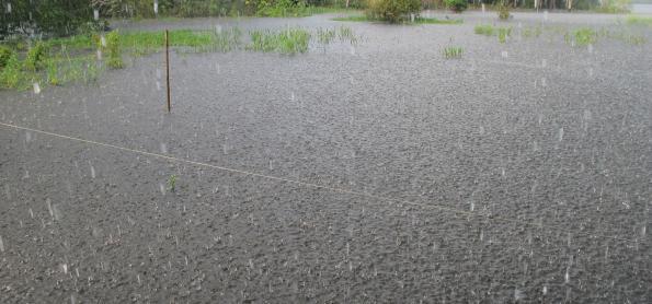 Próximos dias com chuva volumosa no Norte do país