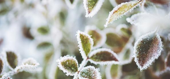 Dia das Mães com frio e geada no Sudeste