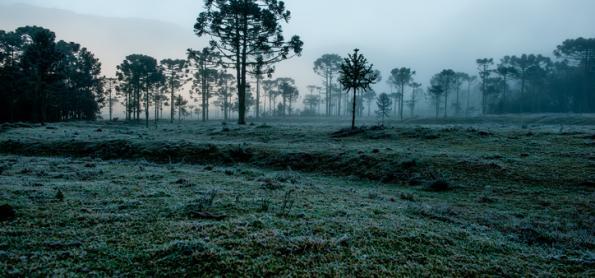 Frio e geada marcam a segunda semana de maio no Sul