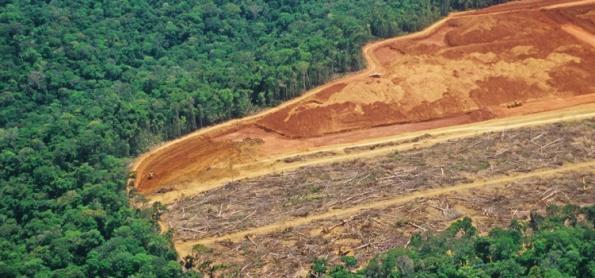 Amazônia em pé vale sete vezes mais que exploração ilimitada