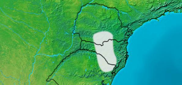 Frio de maio chegou e se estabelece nesta semana no Sul