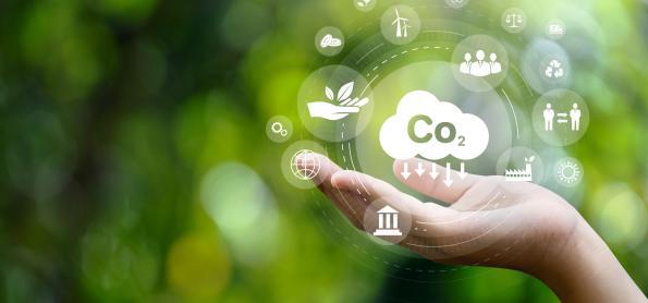 Carbono verde promovendo a neutralidade climática 