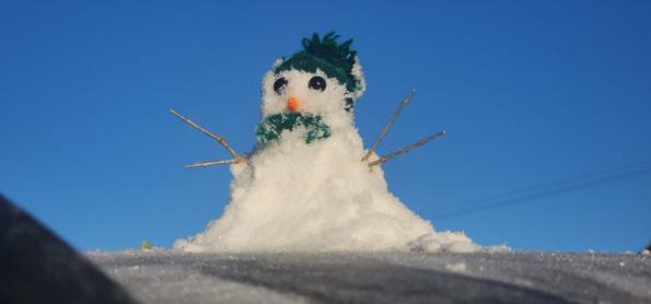 Onda de frio: temperaturas negativas em Santa Catarina