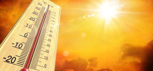 Como é previsto o ranking anual da temperatura global?