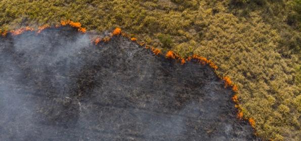 Brasil lidera ranking de focos de queimadas na América do Sul