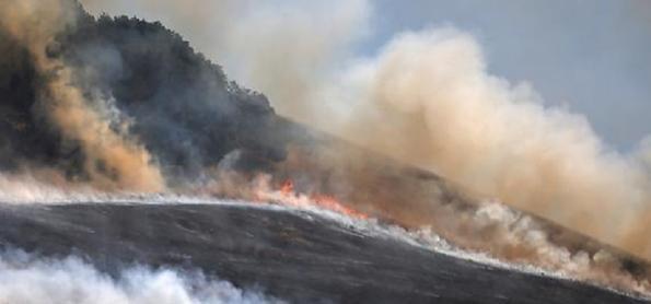 Junho quebrou recordes de calor, aponta órgão europeu