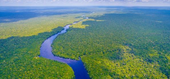 Diálogos Amazônicos: agências da ONU apoiam ações de preservação