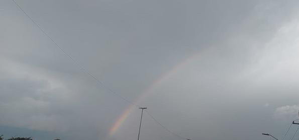 São Paulo tem dia de primavera no inverno