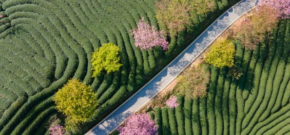 Primavera austral: o que é? e porque sentimos calor?
