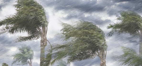 Domingo com altos acumulados de chuva no Centro-Oeste e Sudeste