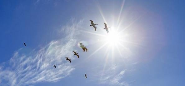 Sol, calor e ar seco predominam no Brasil