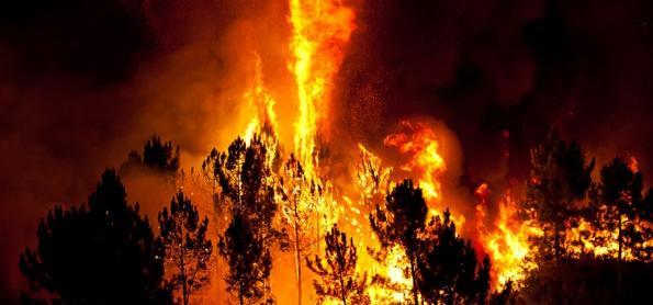 Onda de calor no Hemisfério Norte causa incêndios e bate recorde