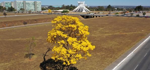 Estiagem em Brasília continua no começo de agosto