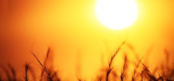 Os impactos do El Niño no agronegócio na região Sudeste do BR