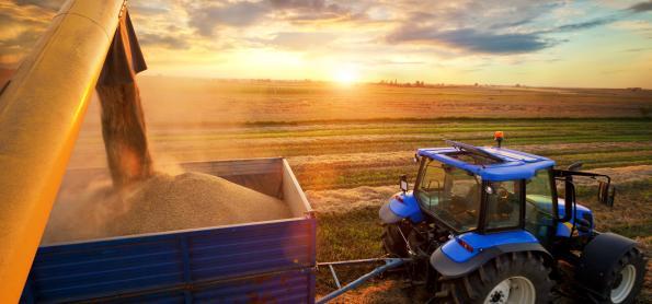 Os Impactos do El Niño no Agronegócio na Região Nordeste do BR