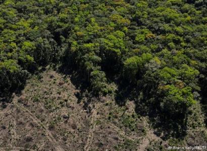 projeto Arco de Restauração planeja em 30 anos recuperar um quarto das áreas desmatadas da Amazônia (Foto: Bruno Kelly-Reuters)