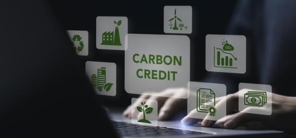 Crédito de carbono no Brasil: Potencial bilionário