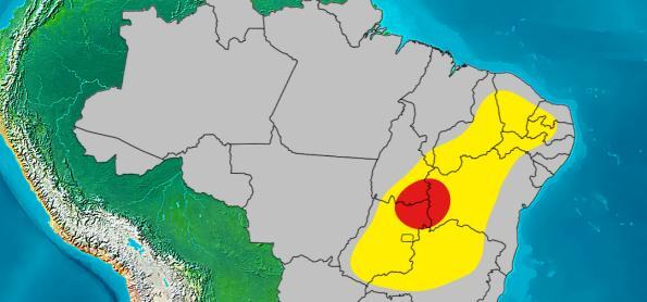 Ar seco: umidade abaixo dos 30% em boa parte do Brasil