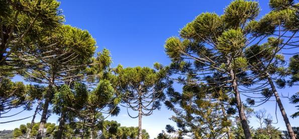 Sol, calor e ar seco em grande parte do Brasil