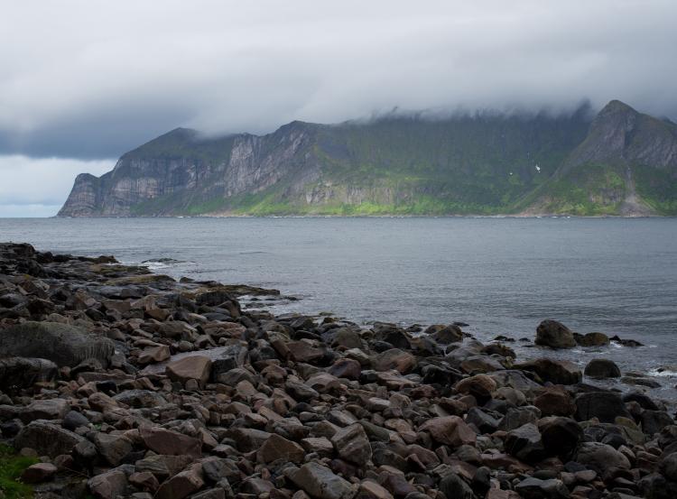 Fonte: Iuliia Pilipeichenko