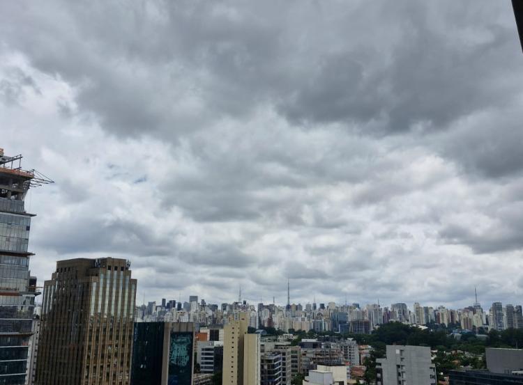 Fonte: Luisa Cardoso