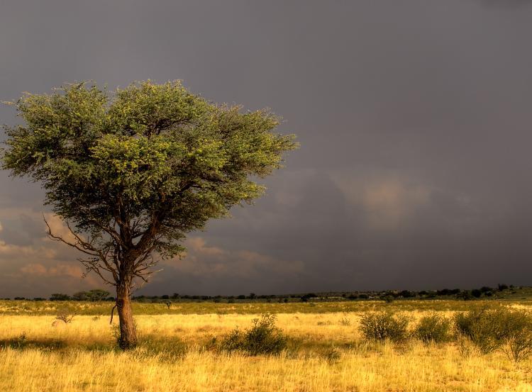 Fonte: DelmeThomasPhotography