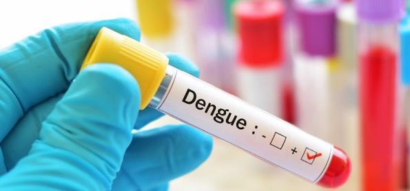 Os custos ocultos da crise de dengue: um alerta econômico