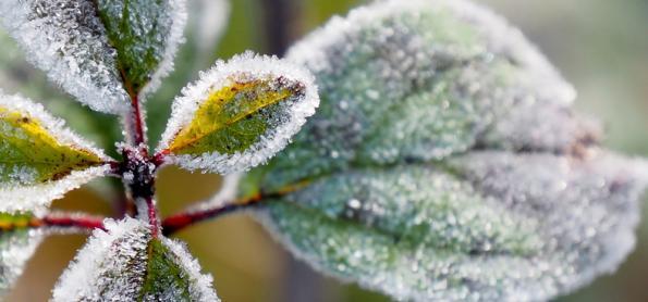 Frio e risco de geada no Sul do Brasil