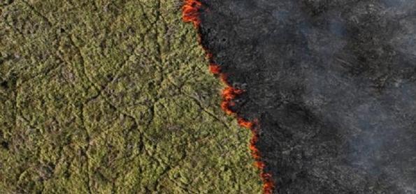 Mato Grosso do Sul decreta emergência após incêndios no Pantanal